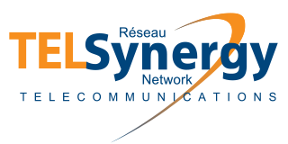 TelSynergy